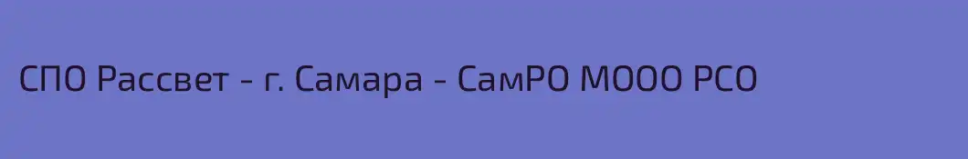 СПО Рассвет - г. Самара - СамРО МООО РСО